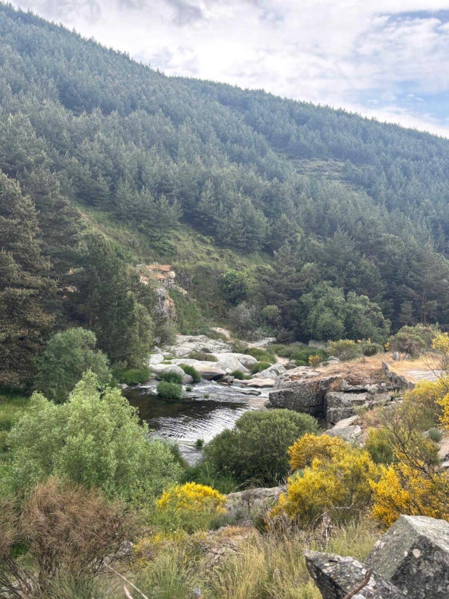 Villa De Gredos Наварредонда-де-Гредос Экстерьер фото